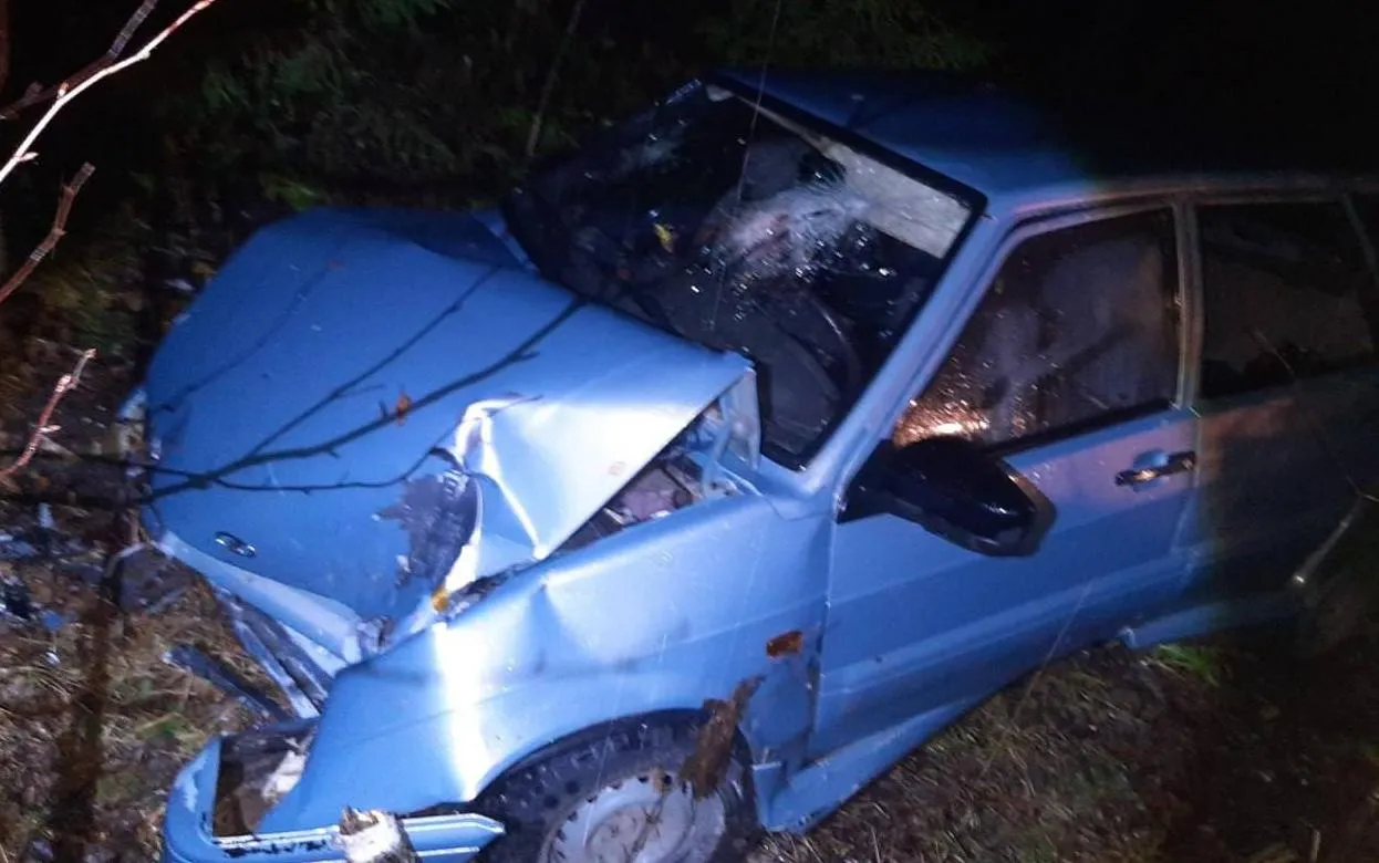 Три человека пострадали по вине начинающего водителя в Удмуртии