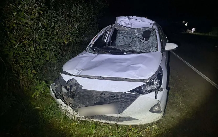 Двое взрослых и двое детей пострадали в ДТП с лосем под Можгой