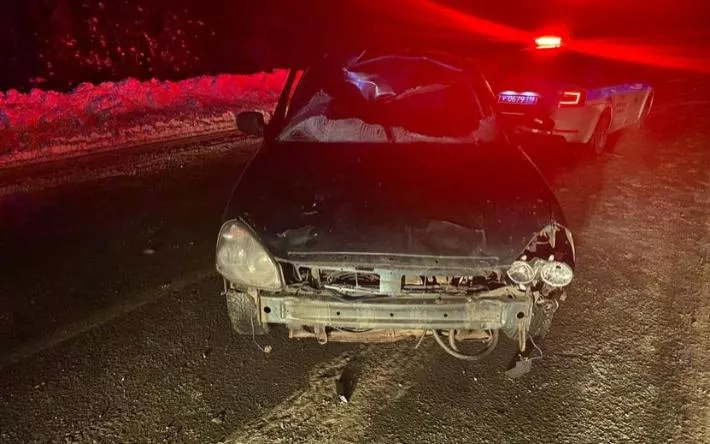 Два человека пострадали в ДТП с лосем в Удмуртии