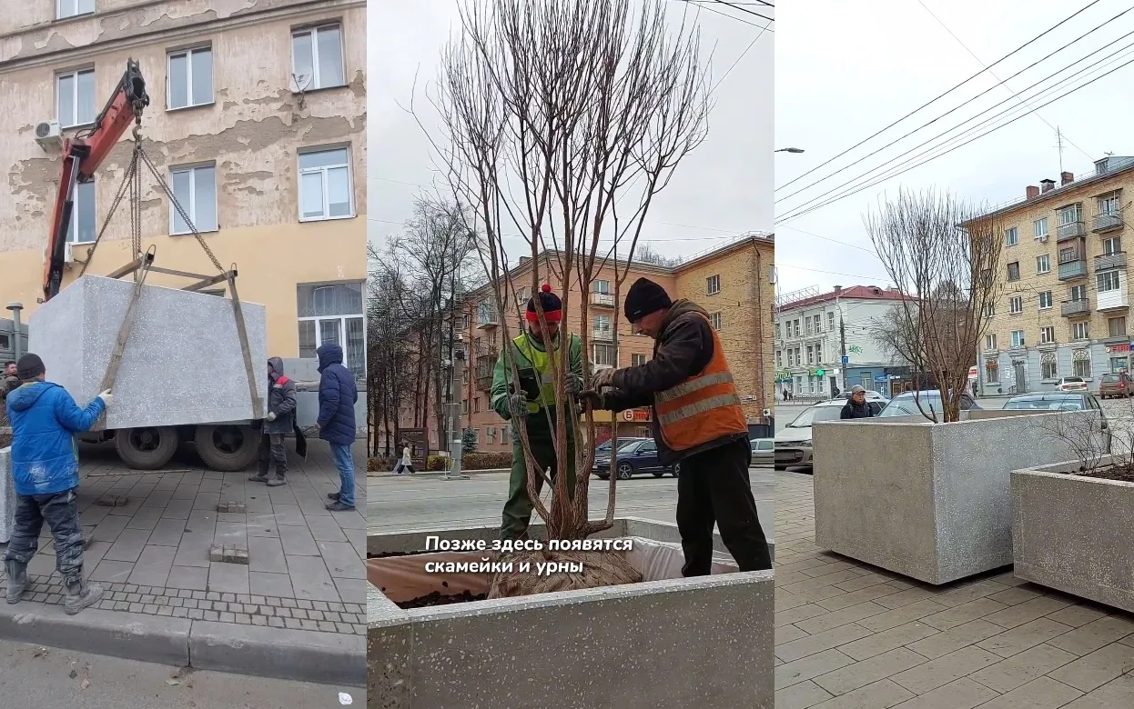 Ивы высадили в бетонные контейнеры на ул. Ленина в Ижевске