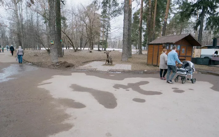 В Ижевске пересмотрели планы по благоустройству Березовой рощи