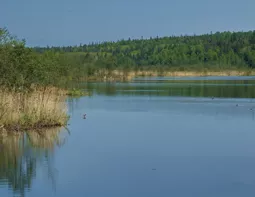 Ижевчанина обязали снести забор с берега пруда на Воложке