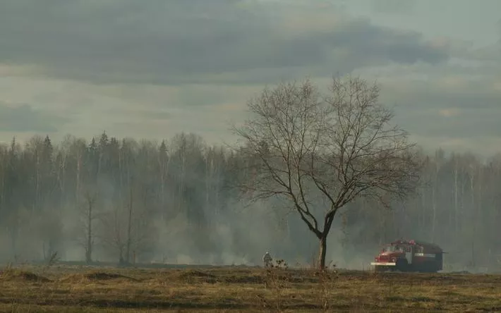 Запрет на посещение лесов снова ввели в Удмуртии