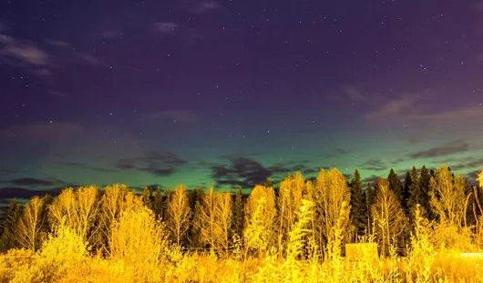 vk.com/foto_grach