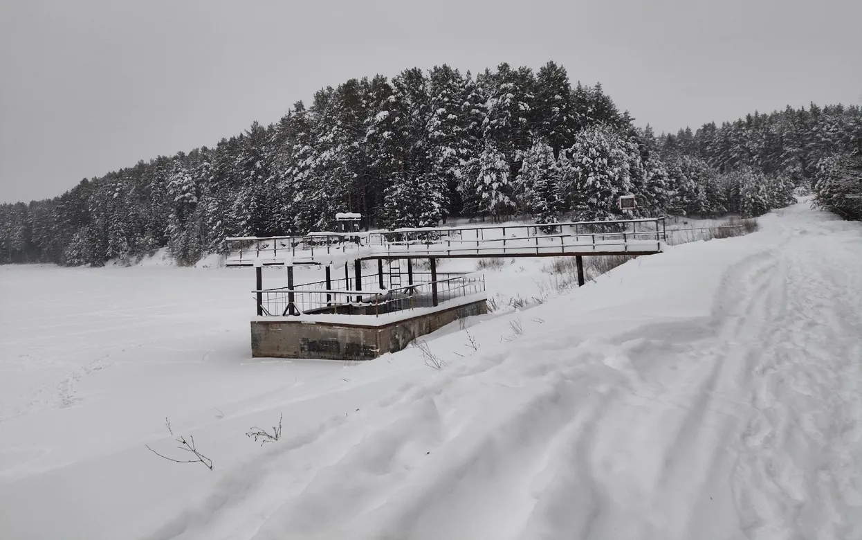 Погода в Ижевске на день: 4 января ждем снегопад и усиление ветра