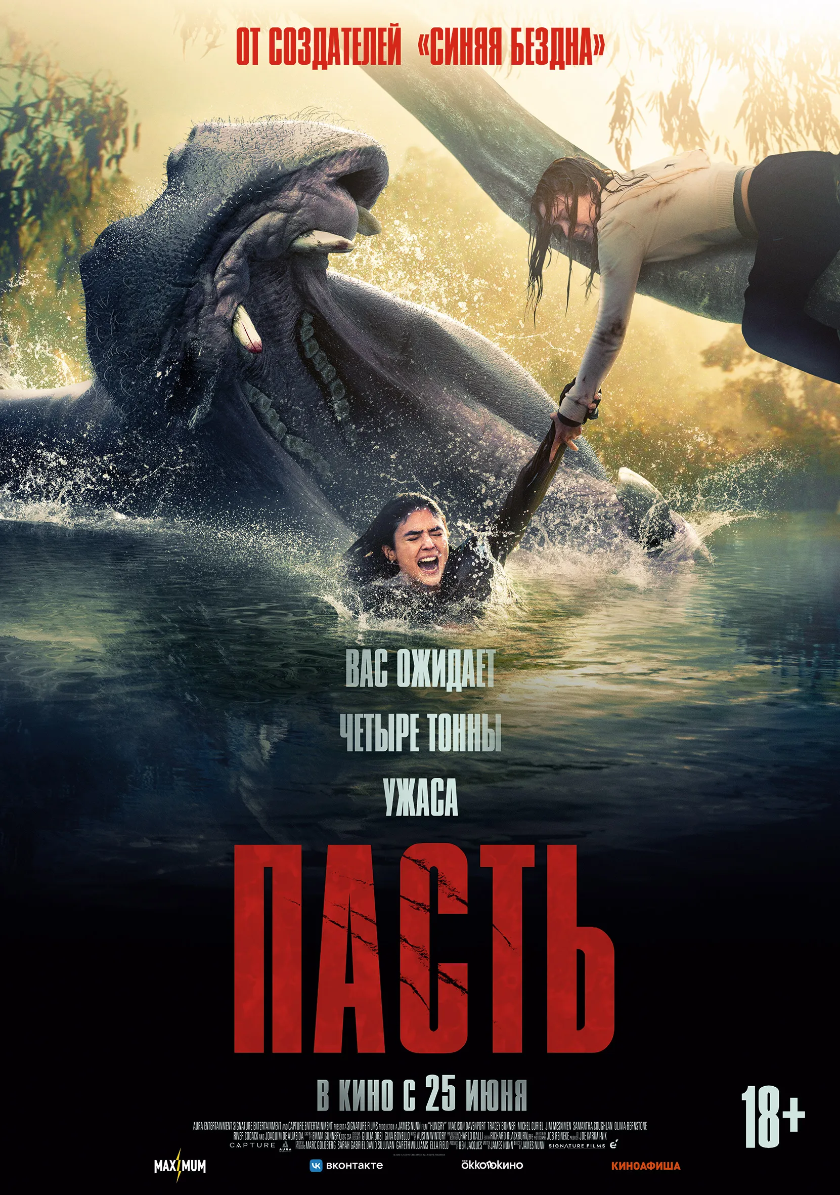 Пасть
