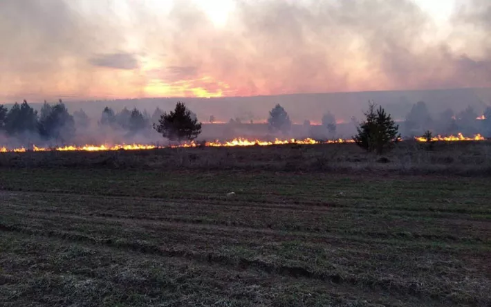 Пенсионерка из Удмуртии получила серьезные ожоги при сжигании сухой травы