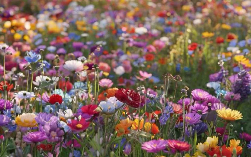 Гороскоп по дате рождения на день – 4 октября: Рыбам стоит проявлять заботу о себе, а Овнам – слушать внутренний голос