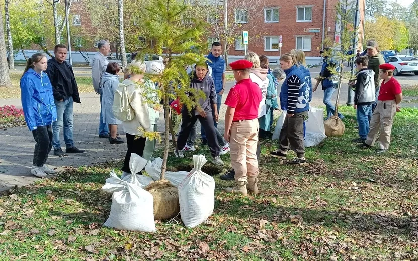 Сирени, ели и рябины высадили в Сквере Победы в Ижевске