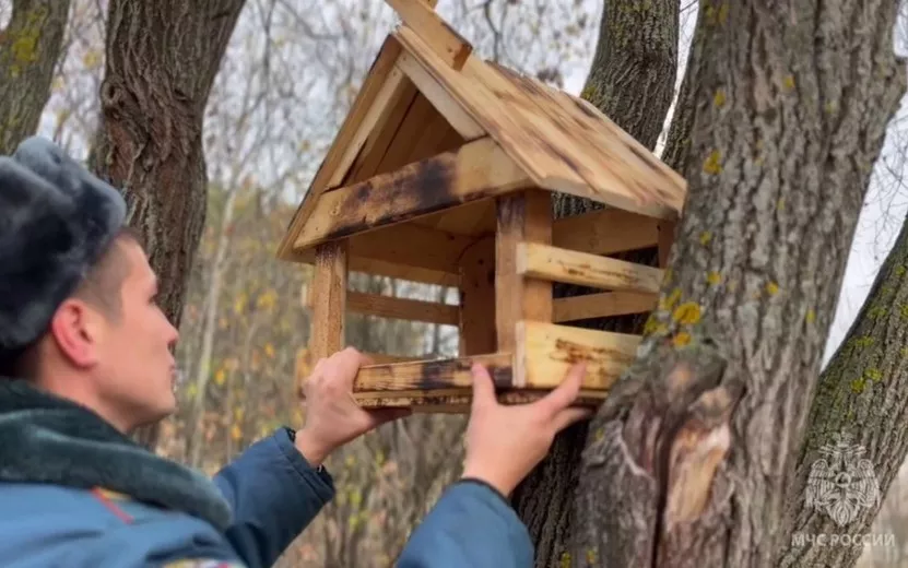 Кормушки для белочек сделали пожарные в Ижевске