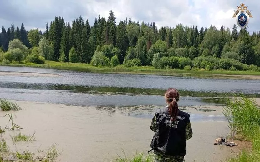 Уголовное дело после гибели ребенка на пруду возбудили в Удмуртии