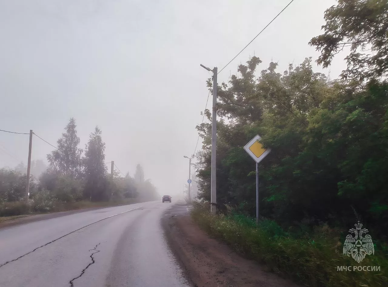 Туман и грозу прогнозируют в Удмуртии 4 августа 