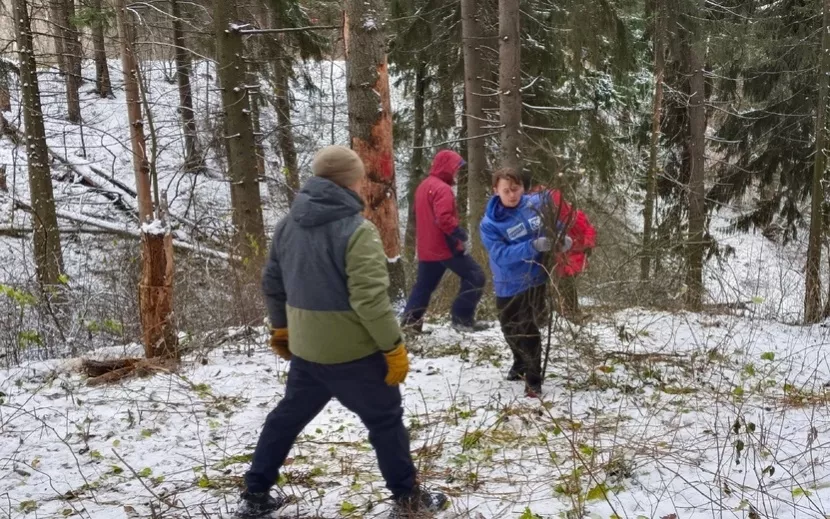 Уборка поросли и поваленных деревьев
