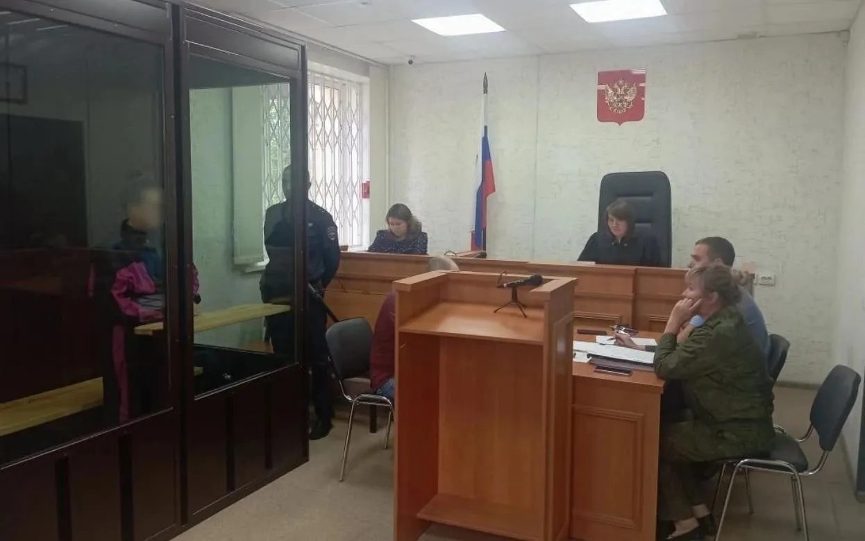 Жительницу Удмуртии подозревают в убийстве новорожденного ребенка