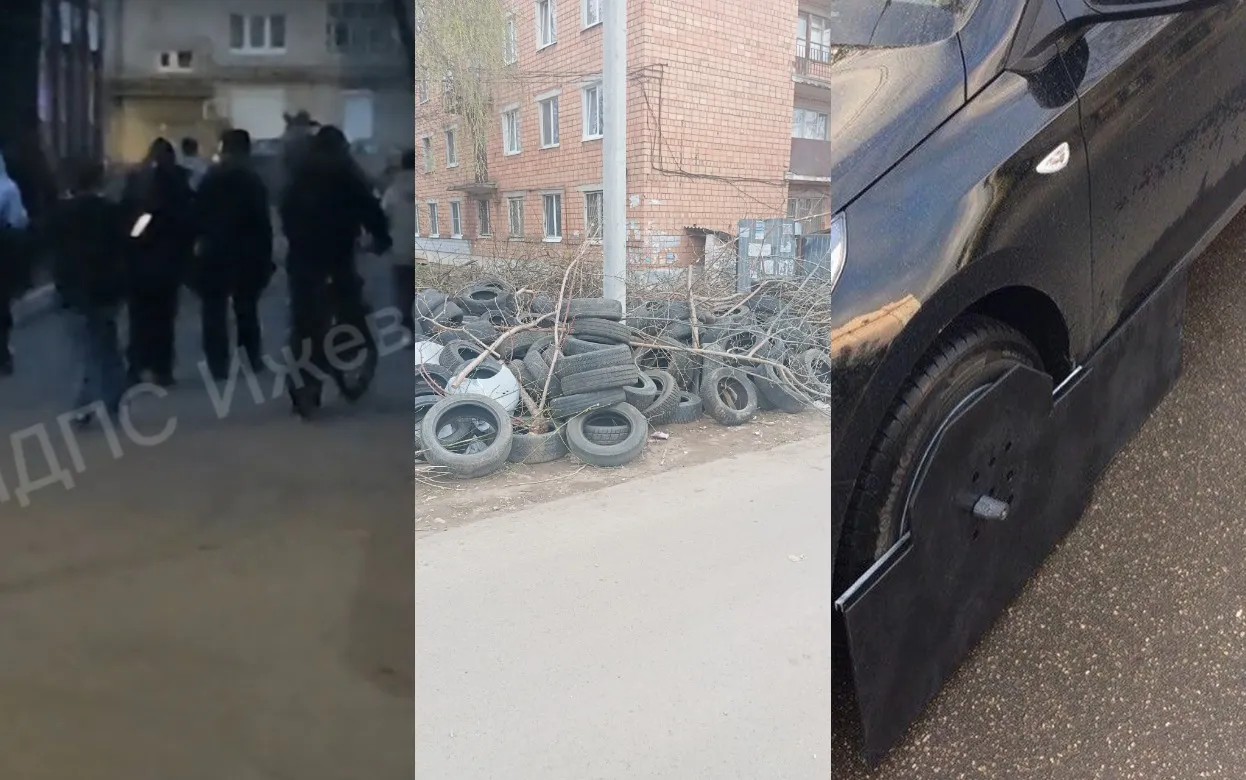 Погоня детей за лосенком, бардак от шиномонтажки и уникальная система защиты от эвакуатора: что обсуждают ижевчане в соцсетях 20 апреля