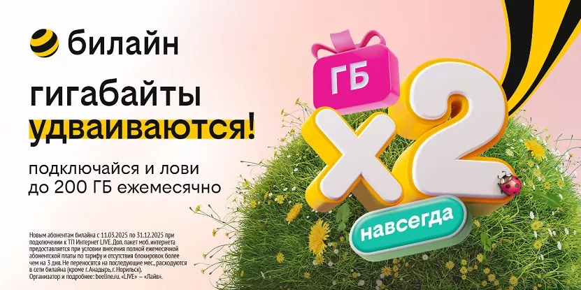 Бесконечное удвоение гигабайтов: билайн запустил акцию для организации интернета в загородном доме