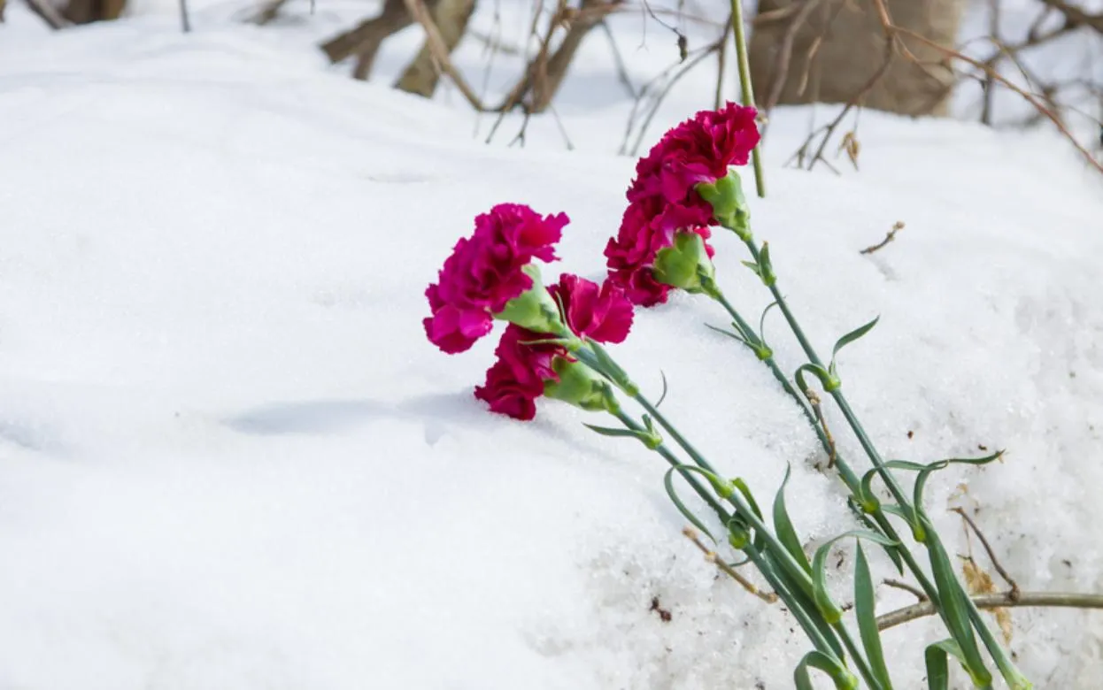 Погибших в зоне спецоперации земляков похоронили в Удмуртии