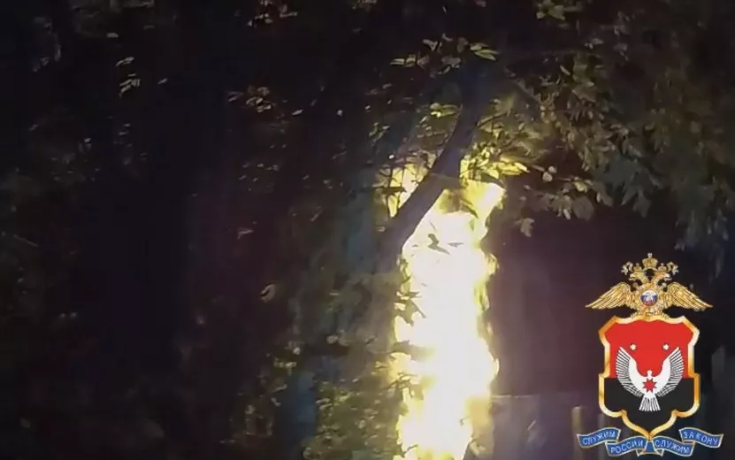 Полицейские потушили горящий дом на улице Кошевого в Ижевске