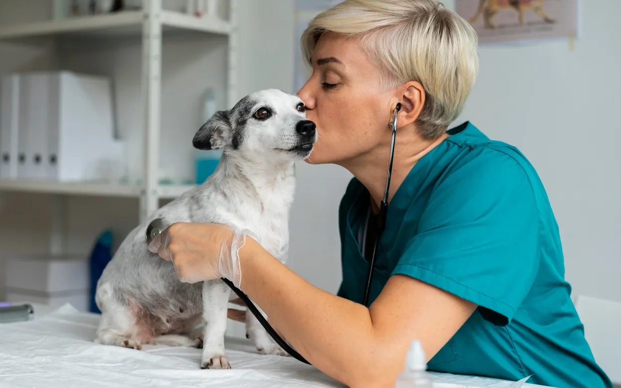 Возьмите за правило: эти пять ветеринарных процедур продлят вашему питомцу жизнь
