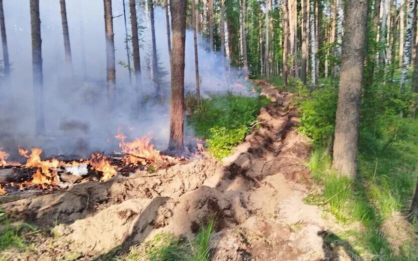Крупный лесной пожар в Воткинском районе потушили в течение суток