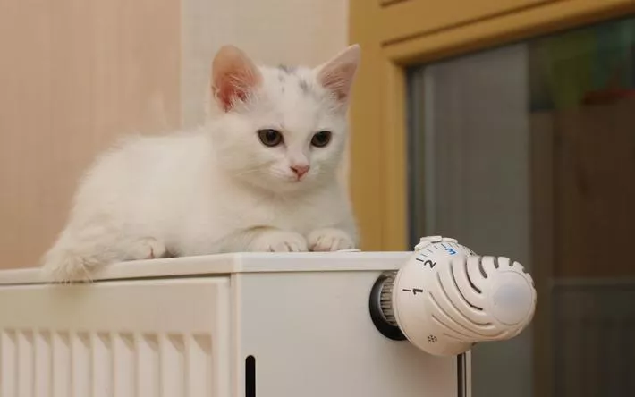 Постановление об окончании отопительного сезона подписали в Ижевске