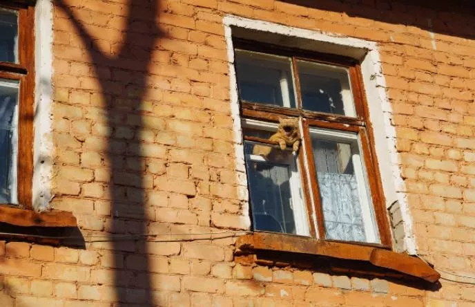 Новости Ижевска на утро 18 октября: визит главы Удмуртии к мобилизованным и грязное воровство трактора жителем Ижевска