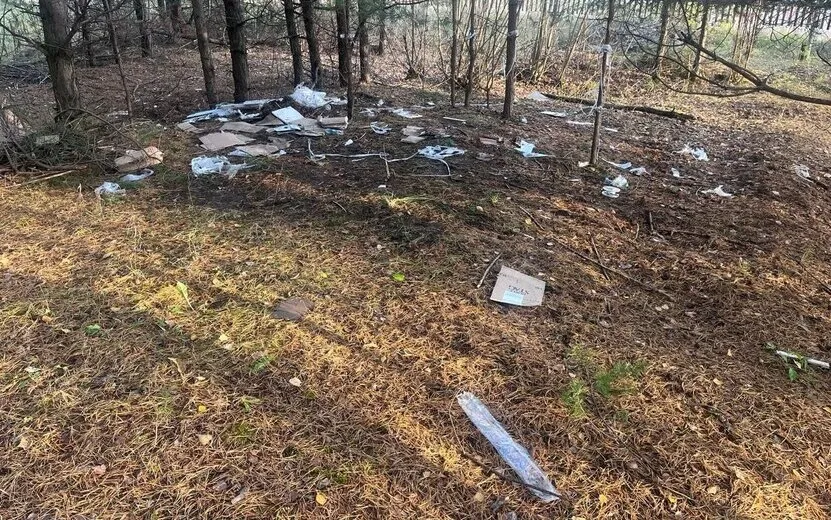 Фотофакт: несовершеннолетние устроили свалку в лесополосе в Воткинске