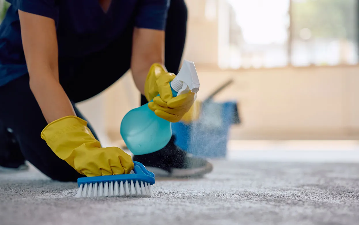 Затоптанный ковер станет как новый: простой способ, который используют в химчистках