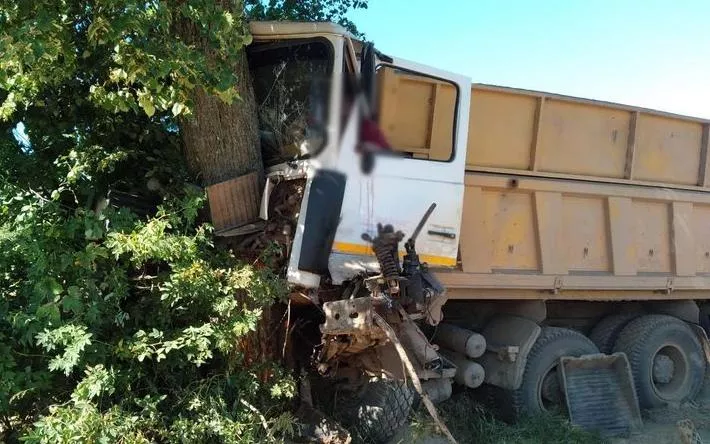 Врезавшийся в дерево водитель грузовика погиб в Удмуртии