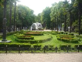 автора