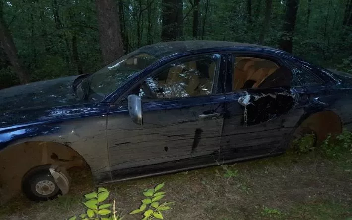 Заброшенный автомобиль нашли в парке имени Кирова в Ижевске