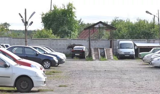 Э. Карипов; видео: Н. Сычева