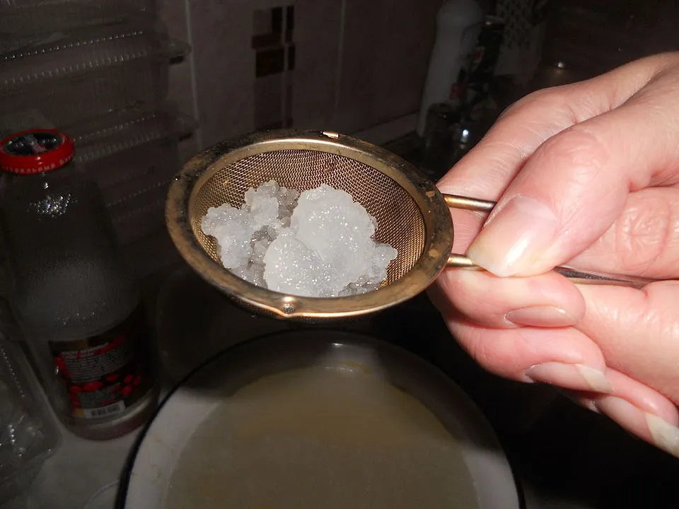 Еще одна кухонная бурда? Что такое морской рис, кому его можно, а кому - лучше не рисковать