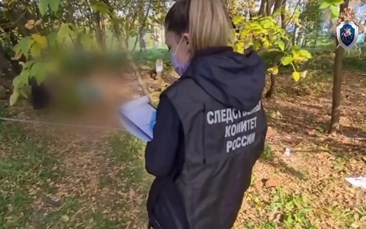 Школьника подозревают в убийстве женщины на ул. Ворошилова в Ижевске