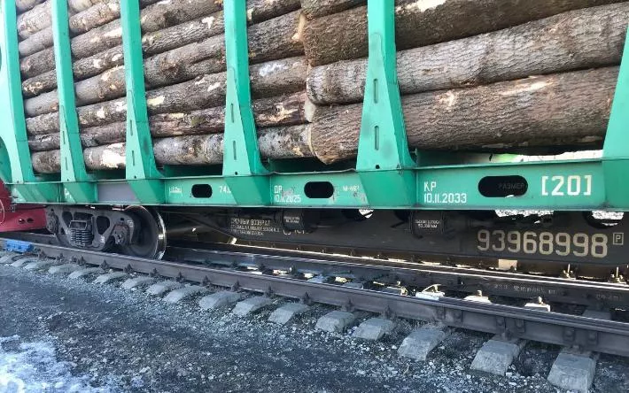 Грузовой поезд сошел с рельсов в Удмуртии