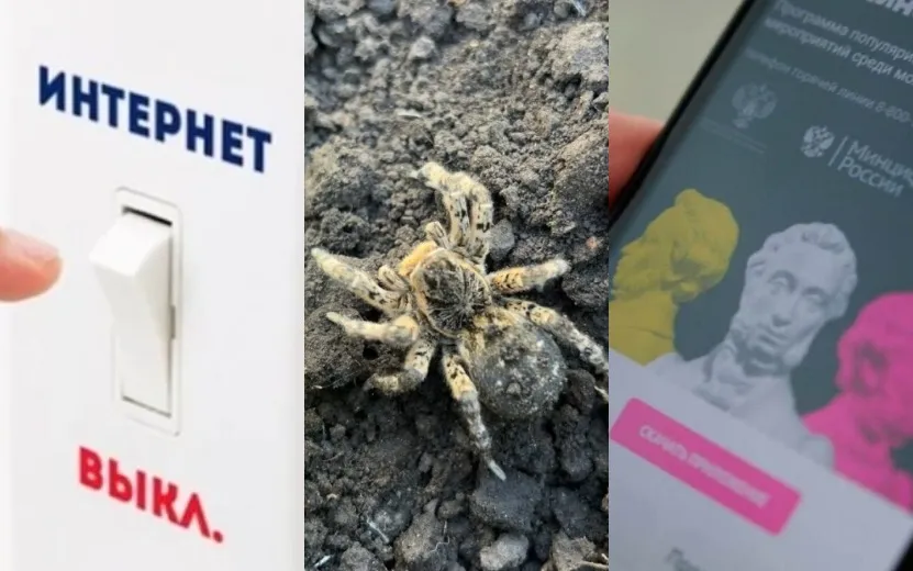 Отключение интернета в выходные, южнорусский тарантул, «Пушкинские карты» до 45 лет: что обсуждают ижевчане в соцсетях 20 сентября