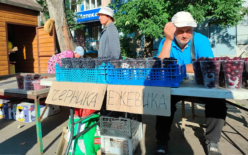 В магазине или на рынке: где дешевле взять ягоды в Ижевске
