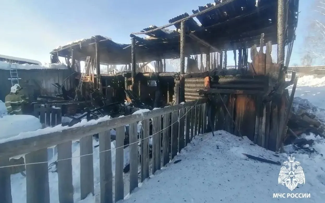 Кормокухня и коровник сгорели в Удмуртии из-за «хлопка» газа