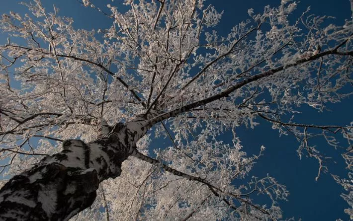 Погода в Ижевске на день: 8 января сохранятся морозы и гололедица на дорогах