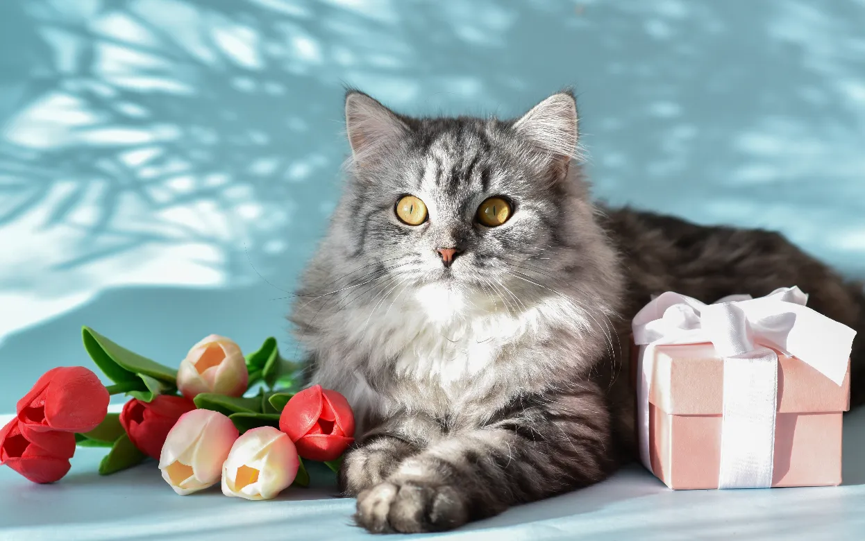 Букет смерти: коварные цветы, которые могут навредить вашей кошке