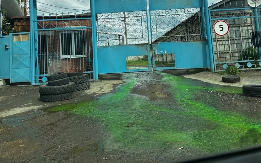 Фотофакт: ярко-зеленую воду заметили на улице Салютовской в Ижевске