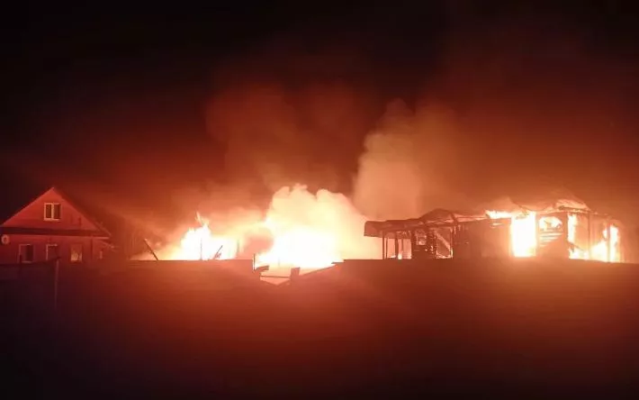 Более 20 животных погибли при пожаре в доме и конюшне под Сарапулом