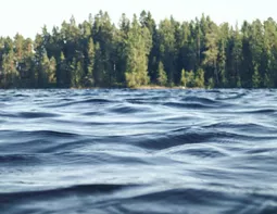 12-летний ижевчанин утонул в реке Везлома в Нижегородской области