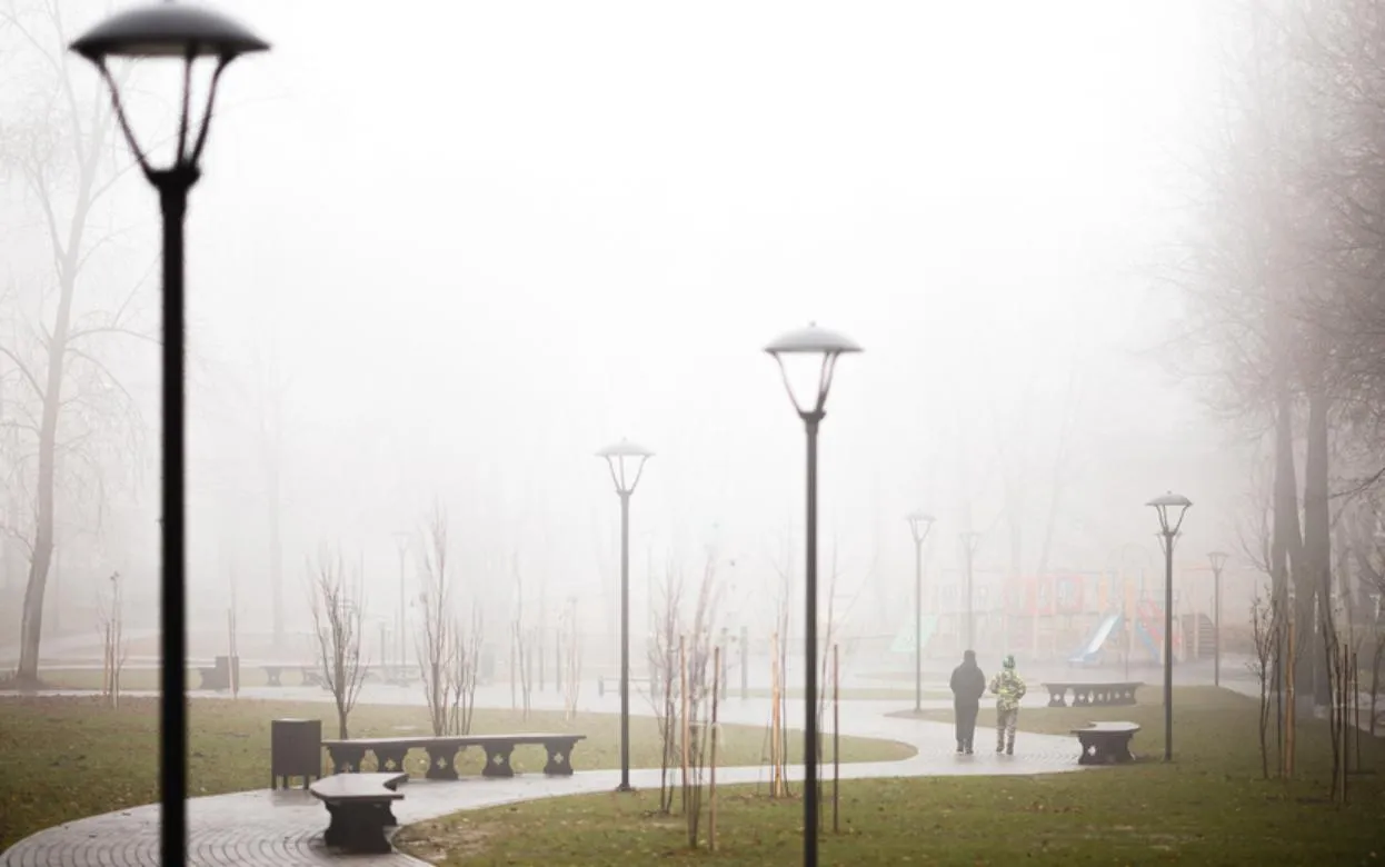 Жителей Удмуртии предупредили о тумане 1 ноября