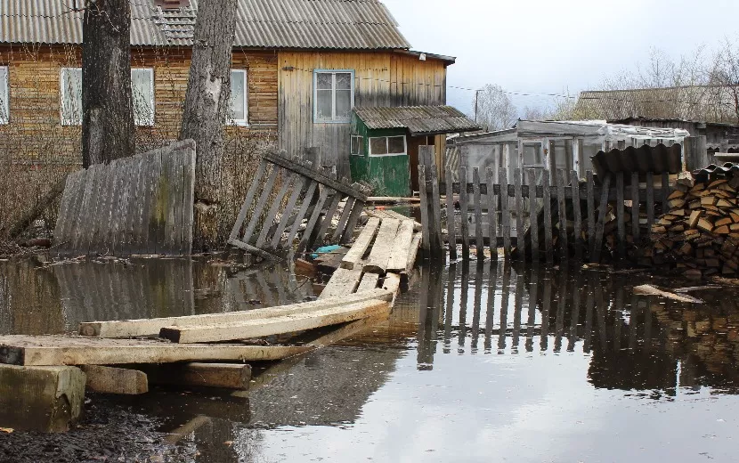 Фото: Сергей Грачев