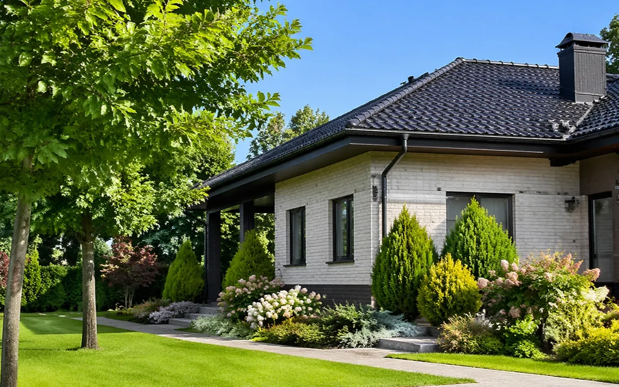 Посадили и пожалели: деревья, которые опасны рядом с домом