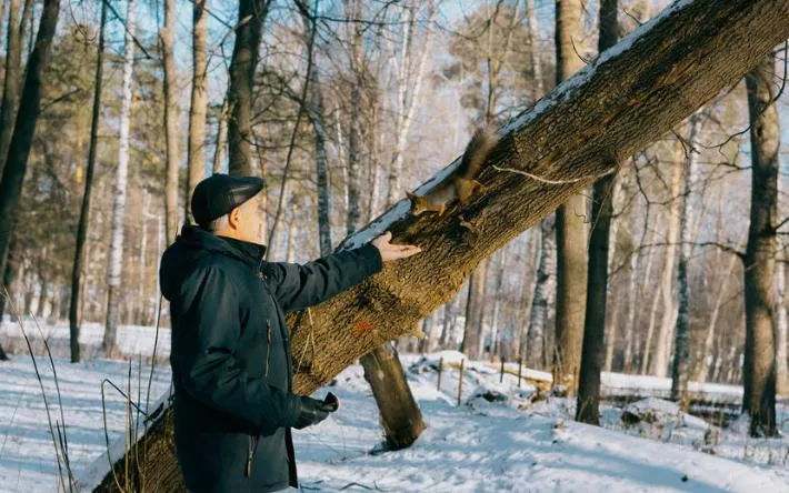Погода в Ижевске на день: 21 ноября ожидается до -7°С