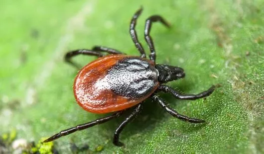 архив редакции, yandex.ru, vk.com