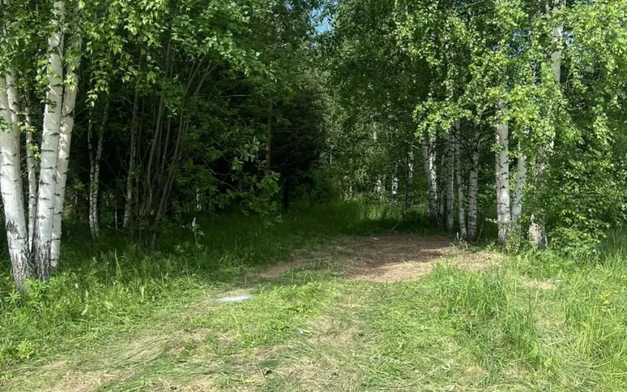 Нелегальную свалку нашли на территории парка в Ижевске