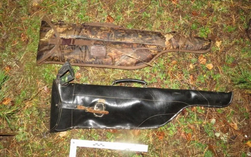 Главные новости Ижевска на 25 сентября: убитый кабан и незаконные охотники 